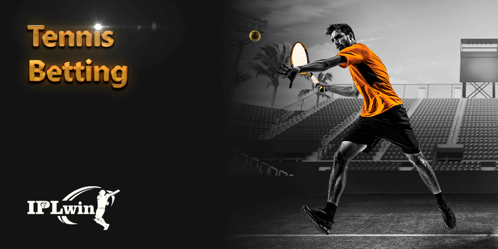 bitbet24