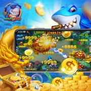 dollarbet